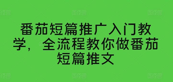 番茄短篇推广入门教学，全流程教你做番茄短篇推文-皮皮网创