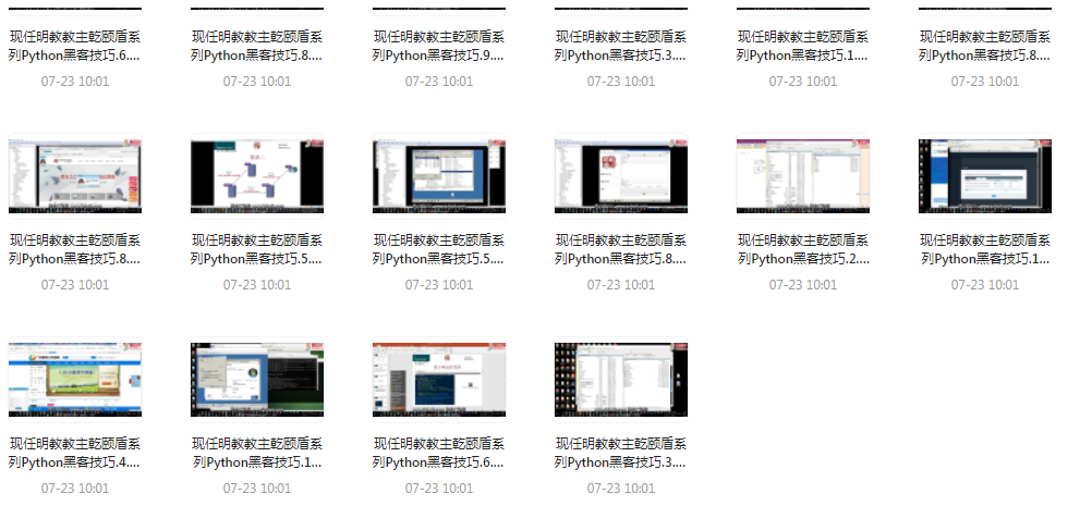 Python黑客技巧课程-皮皮网创