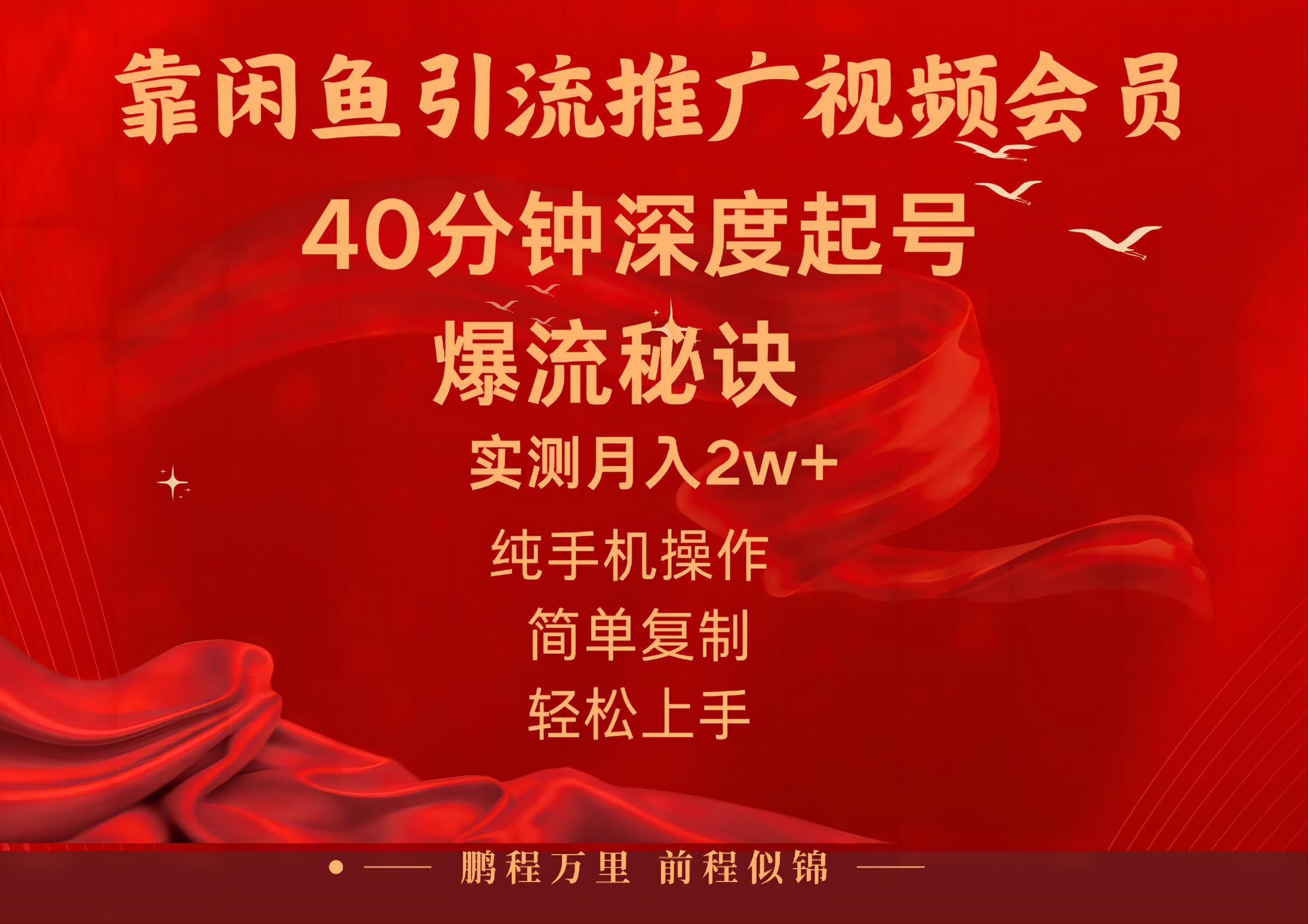 闲鱼暴力引流推广视频会员，能做到日入2W+，操作简单-皮皮网创