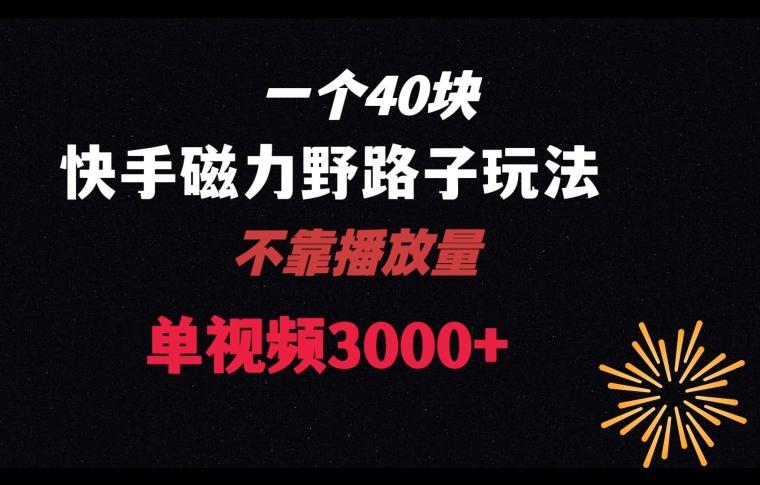 一个40块，快手联合美团磁力新玩法，无视机制野路子玩法，单视频收益4位数【揭秘】-皮皮网创