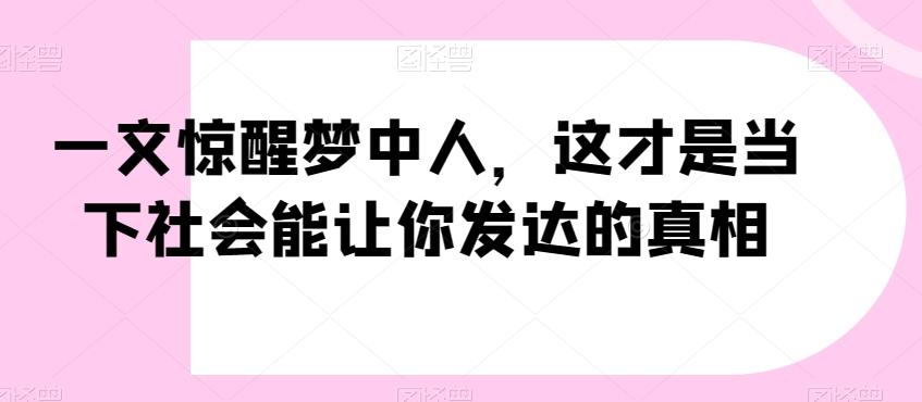 一文惊醒梦中人，这才是当下社会能让你发达的真相【公众号付费文章】-皮皮网创
