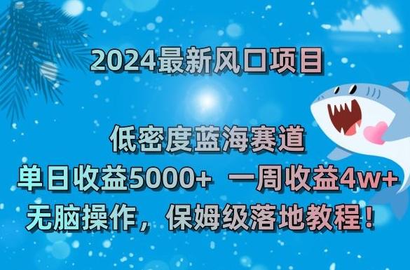 2024最新风口项目，低密度蓝海赛道，单日收益5000+，一周收益4w+！【揭秘】-皮皮网创