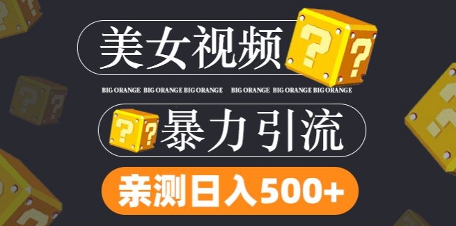 搬运tk美女视频全网分发，日引s粉300+，轻松变现，不限流量不封号【揭秘】-皮皮网创