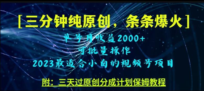 三分钟制作视频号纯原创，条条爆款，轻松月入过万【揭秘】-皮皮网创