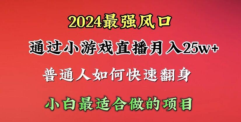 (10020期)2024年最强风口，通过小游戏直播月入25w+单日收益5000+小白最适合做的项目-皮皮网创