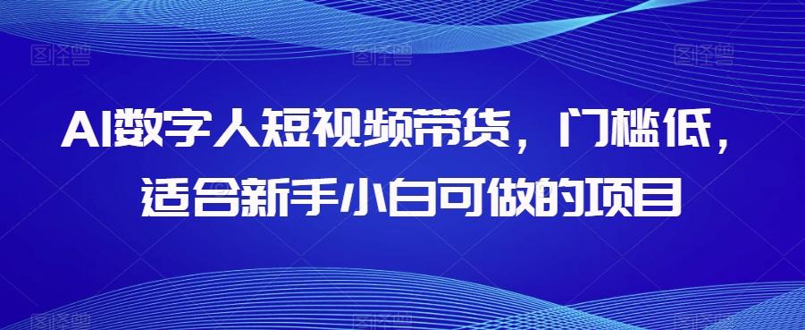 AI数字人短视频带货，门槛低，适合新手小白可做的项目-皮皮网创