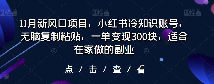 11月新风口项目，小红书冷知识账号，无脑复制粘贴，一单变现300块，适合在家做的副业-皮皮网创