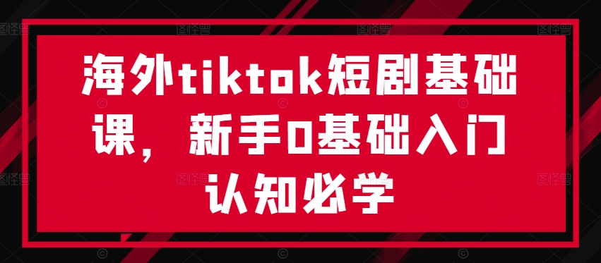 海外tiktok短剧基础课，新手0基础入门认知必学-皮皮网创