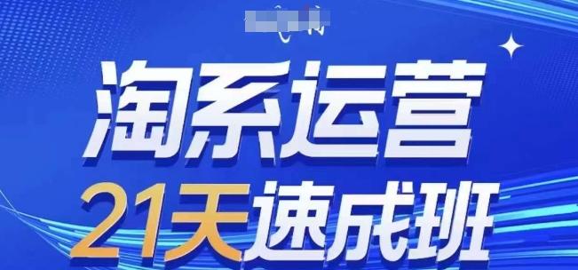 淘系运营21天速成班(更新24年7月)，0基础轻松搞定淘系运营，不做假把式-皮皮网创