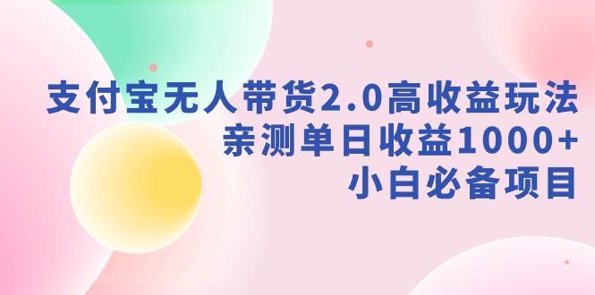 支付宝无人带货2.0高收益玩法，亲测单日收益1000+，小白必备项目-皮皮网创