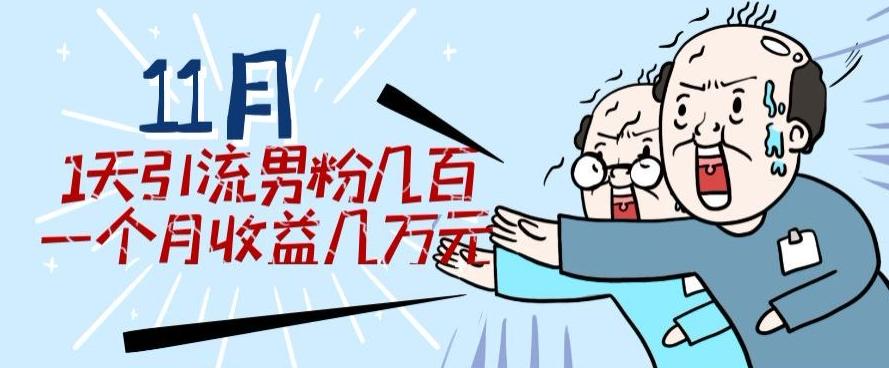 11月最新每天引流男粉300+一个月收益几万元-皮皮网创
