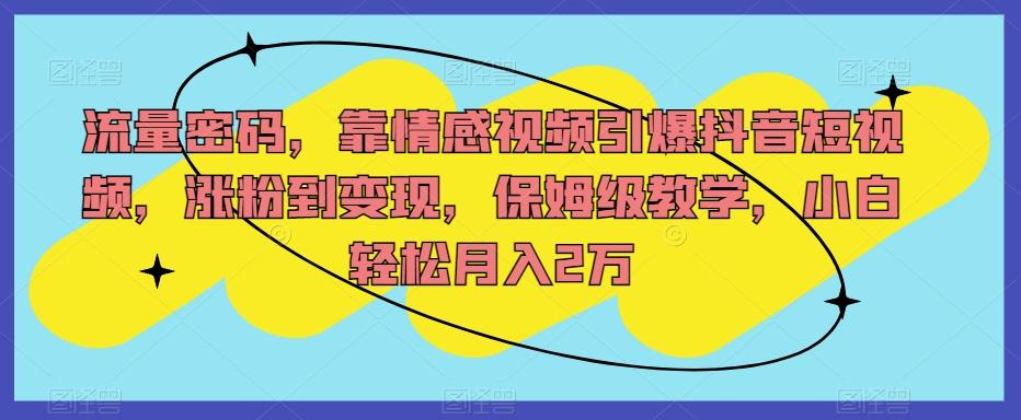 流量密码，靠情感视频引爆抖音短视频，涨粉到变现，保姆级教学，小白轻松月入2万【揭秘】-皮皮网创