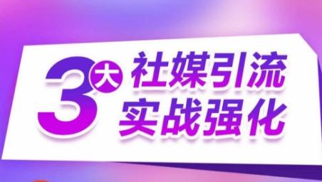 3大社媒引流实战强化，多渠道站外引流，高效精准获客，订单销售额翻倍增长-皮皮网创