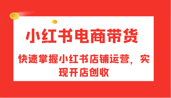 小红书电商带货，快速掌握小红书店铺运营，实现开店创收-皮皮网创