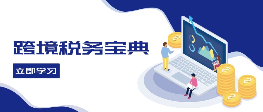跨境税务宝典教程：跨境电商全球税务处理策略-皮皮网创