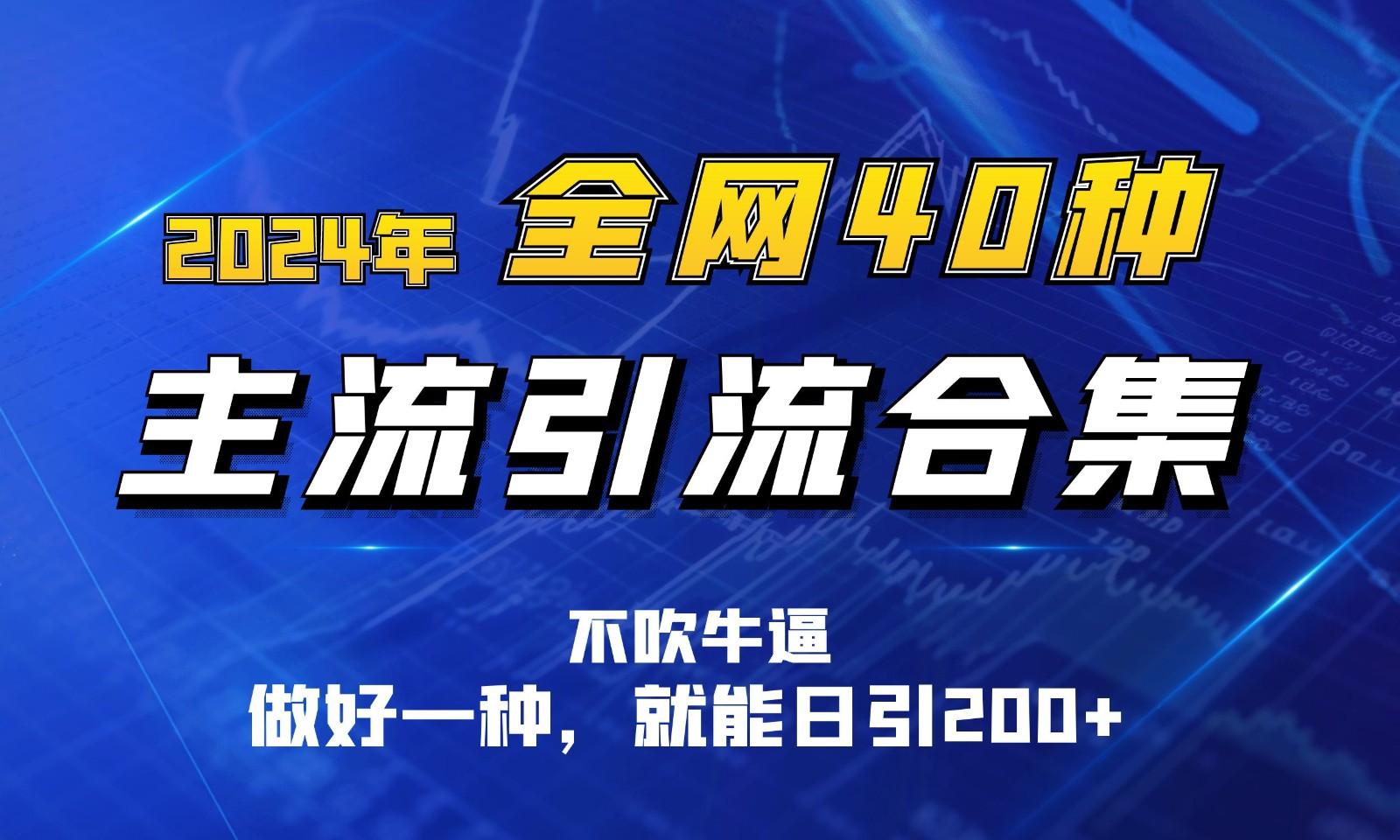 2024年全网40种暴力引流合计，做好一样就能日引100+-皮皮网创