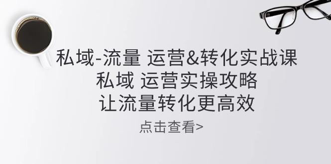 私域-流量 运营&转化实操课：私域 运营实操攻略 让流量转化更高效-皮皮网创