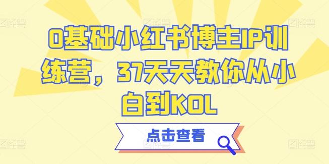 0基础小红书博主IP训练营，37天天教你从小白到KOL-皮皮网创