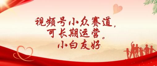 视频号小众赛道，可长期运营，小白友好【揭秘】-皮皮网创