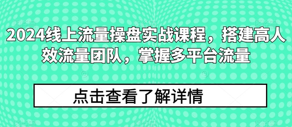 2024线上流量操盘实战课程，搭建高人效流量团队，掌握多平台流量-皮皮网创