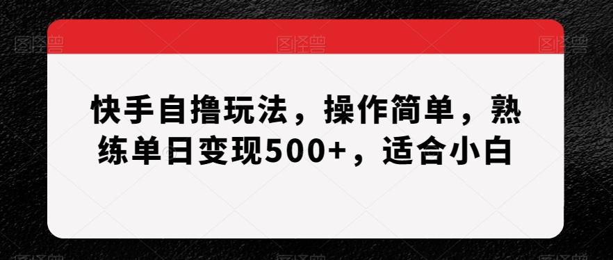快手自撸玩法，操作简单，熟练单日变现500+，适合小白【揭秘】-皮皮网创
