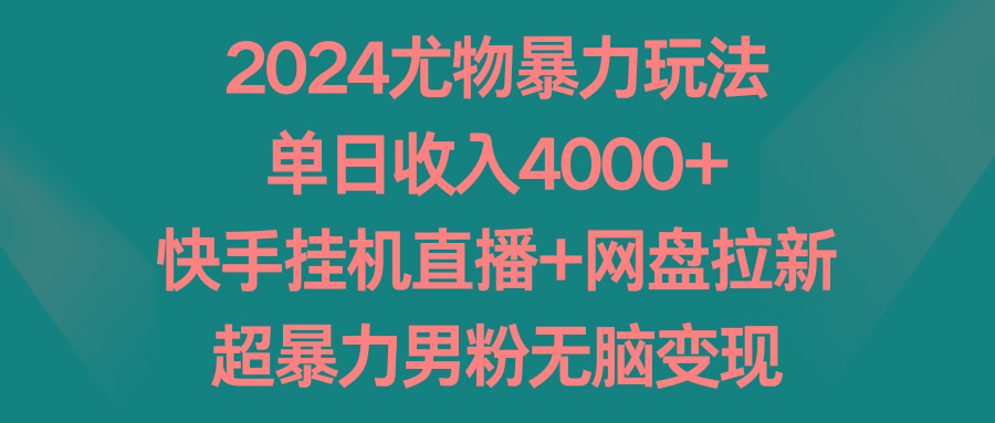 2024尤物暴力玩法 单日收入4000+快手挂机直播+网盘拉新 超暴力男粉无脑变现-皮皮网创