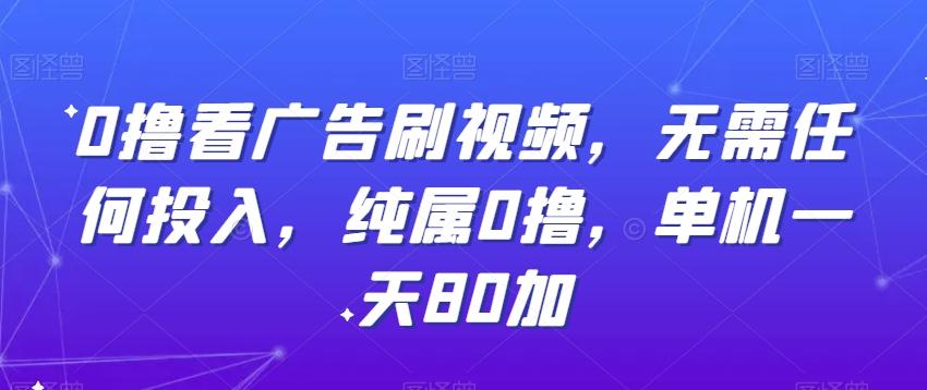 0撸看广告刷视频，无需任何投入，纯属0撸，单机一天80加-皮皮网创