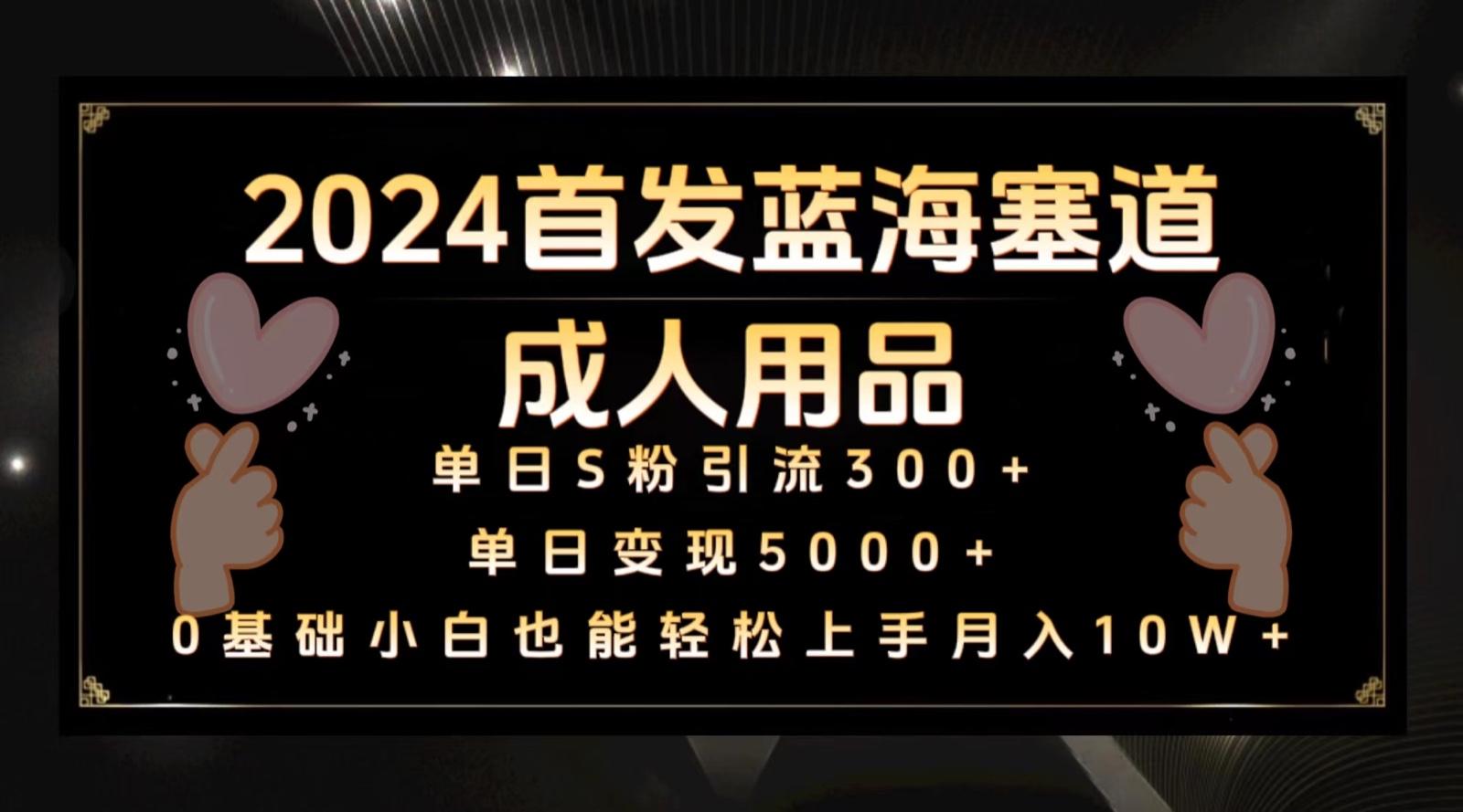 2024首发蓝海塞道成人用品，月入10W+保姆教程-皮皮网创