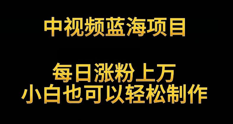 中视频蓝海项目，解读英雄人物生平，每日涨粉上万，小白也可以轻松制作，月入过万不是梦【揭秘】-皮皮网创