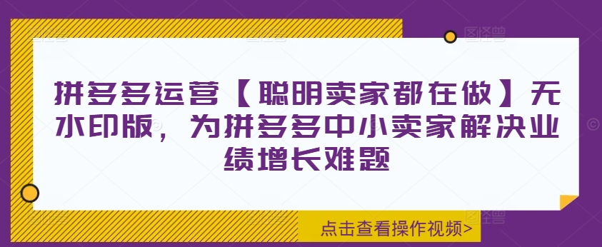 拼多多运营【聪明卖家都在做】无水印版，为拼多多中小卖家解决业绩增长难题-皮皮网创