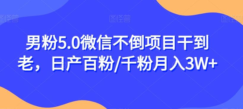 男粉5.0微信不倒项目干到老，日产百粉/千粉月入3W+【揭秘】-皮皮网创