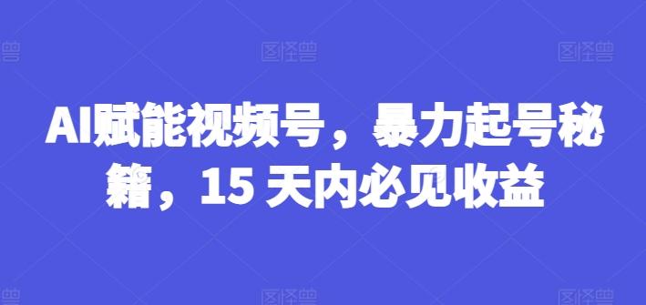 AI赋能视频号，暴力起号秘籍，15 天内必见收益【揭秘】-皮皮网创