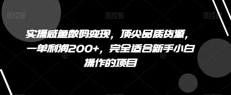 实操咸鱼数码变现，顶尖品质货源，一单利润200+，完全适合新手小白操作的项目【揭秘】-皮皮网创