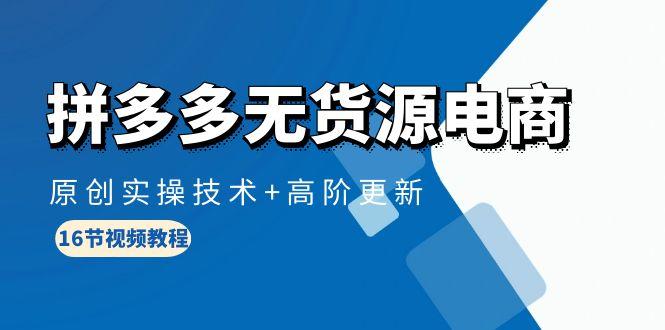 (10015期)拼多多无货源电商，原创实操技术+高阶更新(16节视频教程)-皮皮网创