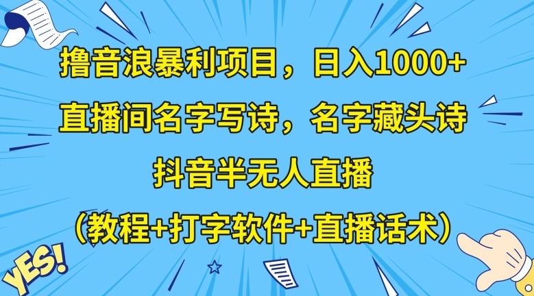 撸音浪暴利项目，日入1000+，直播间名字写诗，名字藏头诗，抖音半无人直播（教程+打字软件+直播话术）【揭秘】-皮皮网创