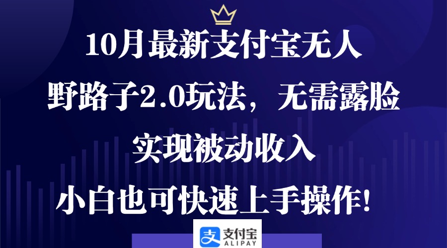 10月最新支付宝无人野路子2.0玩法，无需露脸，实现被动收入，小白也可…-皮皮网创