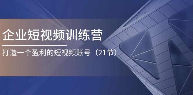 企业短视频训练营：打造一个盈利的短视频账号(21节-皮皮网创