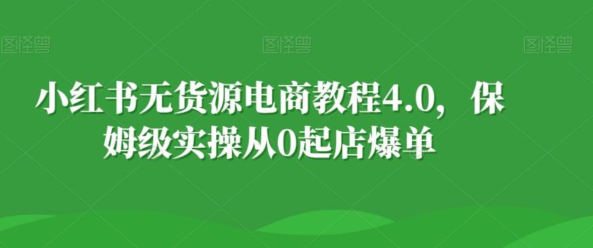 小红书无货源电商教程4.0，保姆级实操从0起店爆单【拆解】-皮皮网创