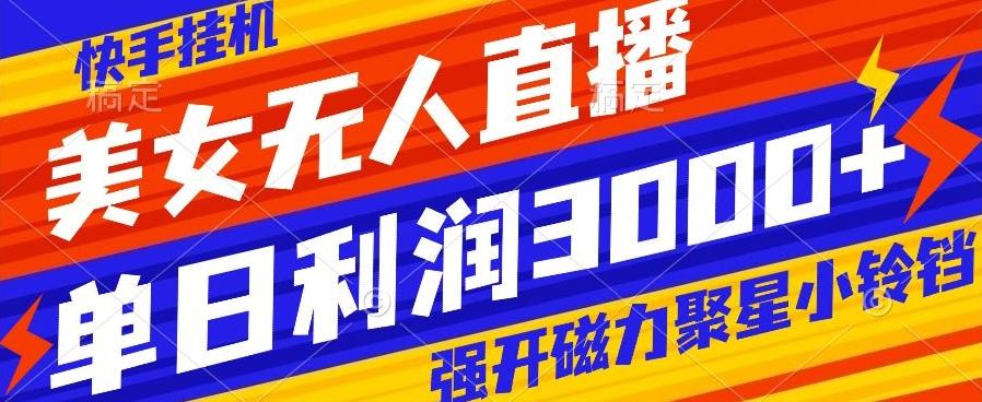 快手挂机，美女无人直播，强开磁力聚星小铃铛，日入3000+-皮皮网创