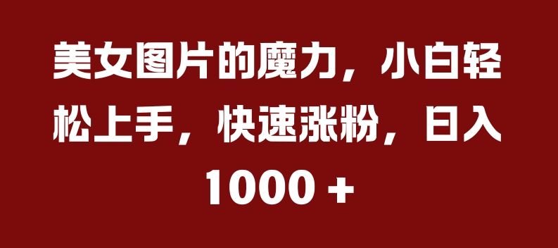 美女图片的魔力，小白轻松上手，快速涨粉，日入几张【揭秘】-皮皮网创