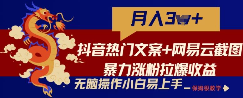 抖音热门文案+网易云截图暴力涨粉拉爆收益玩法，小白无脑操作，简单易上手【揭秘】-皮皮网创