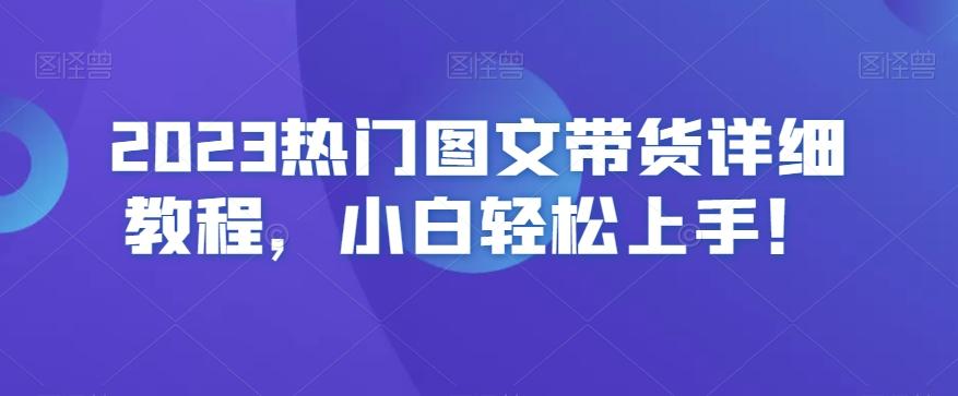 2023热门图文带货详细教程，小白轻松上手！-皮皮网创