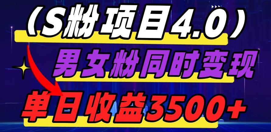 S粉项目4.0，男女粉通吃，男女粉同时变现，单日收益3500+-皮皮网创