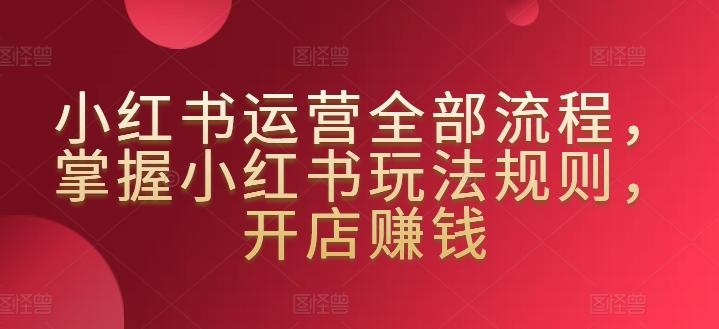 小红书运营全部流程，掌握小红书玩法规则，开店赚钱-皮皮网创