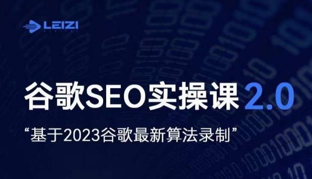 雷子·谷歌SEO 2.0实战课，独立站询盘自由必备，基于2023谷歌最新算法录制-皮皮网创