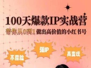 小红书100天爆款IP实战营，带你从0到1做出高价值的小红书号-皮皮网创
