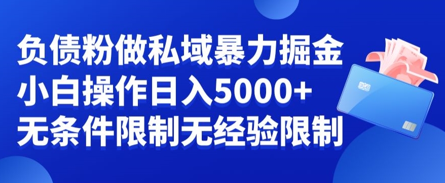 负债粉私域暴力掘金，小白操作入5000，无经验限制，无条件限制【揭秘】-皮皮网创