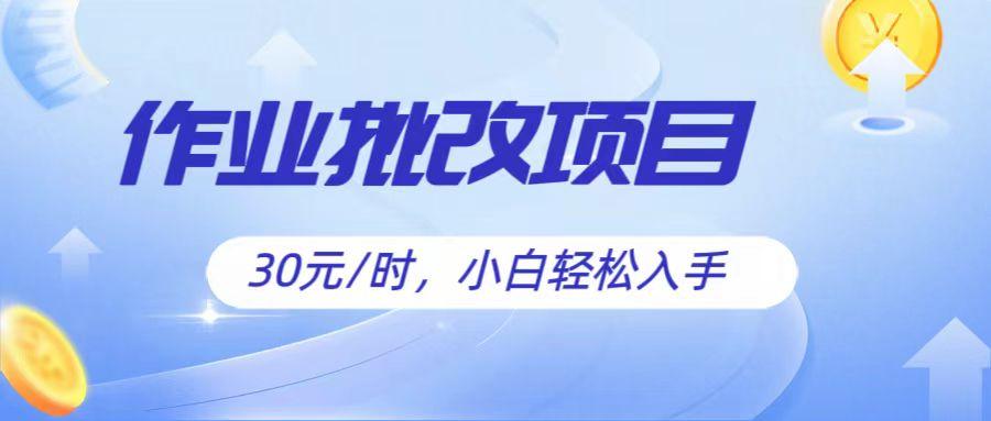 作业批改项目30元/时，简单小白轻松入手，非常适合兼职-皮皮网创