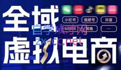 潮金公社·全域虚拟电商4.0-皮皮网创