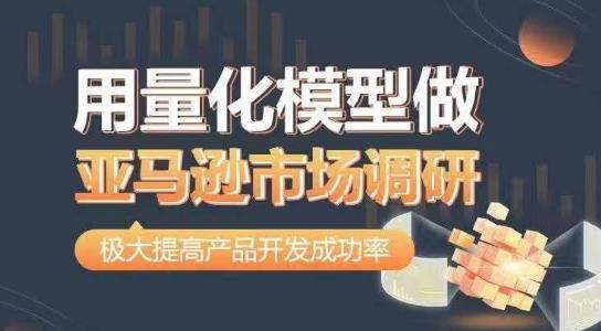 用量化模型做亚马逊市场调研，从数据出发，更高效更准确做判断，极大提高产品开发成功率-皮皮网创